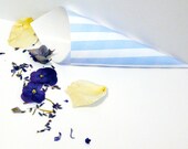 Signature Blue Stripe Con...