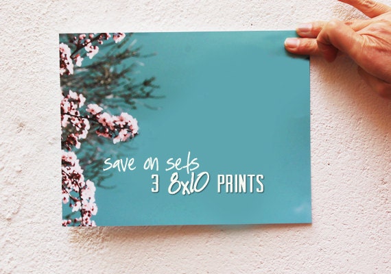 Any 3 Photography Prints in 8x10 or 8x12 Size - Your Choice - 8x10 Fine Art Photographs, Fine Art Prints, Nature Photography, Home Decor