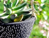Spot Design Hanging Planter // Succulent Planter