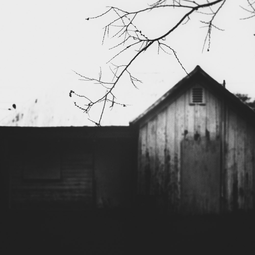 In Dreams - Fine Art Photography, Surreal Americana, Black and White, Vintage Art, Rustic, Old House, 8x8 Print