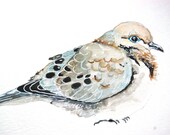 Watercolor Painting, Morning Dove, Original Painting, Bird Painting, 6"x9"
