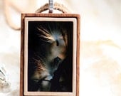 SALE..FREE SHIPPING..Milkweed Seeds..wearable art pendant..nature inspired..original framed photo print..Mother's Day...