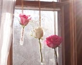 Glass Hanging Vase Set