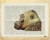 Baboon print - watercolor printed on old page from dictionary - FauxKiss