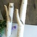 2 Rustic Tree Branch Birch Wood Coat Hooks for Jewelry, Hats, Clothing, Dog Leashes