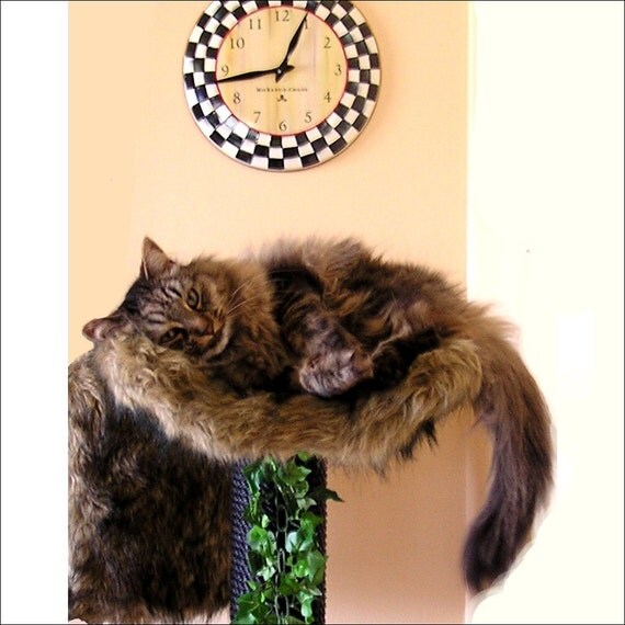 DESIGNER CAT Furniture SALE 4' Cat Tree Luxury by IncredibleCat