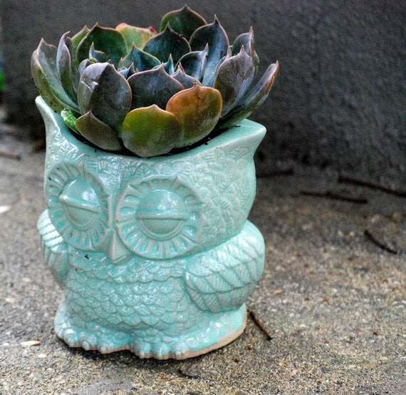 indoor owl Planter pencil holder desk vase in mint  vintage style   home decor