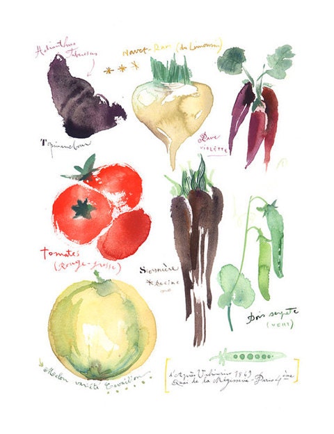 Kitchen art Antique vegetables illustration 8X10 print Watercolor food poster Botanical painting