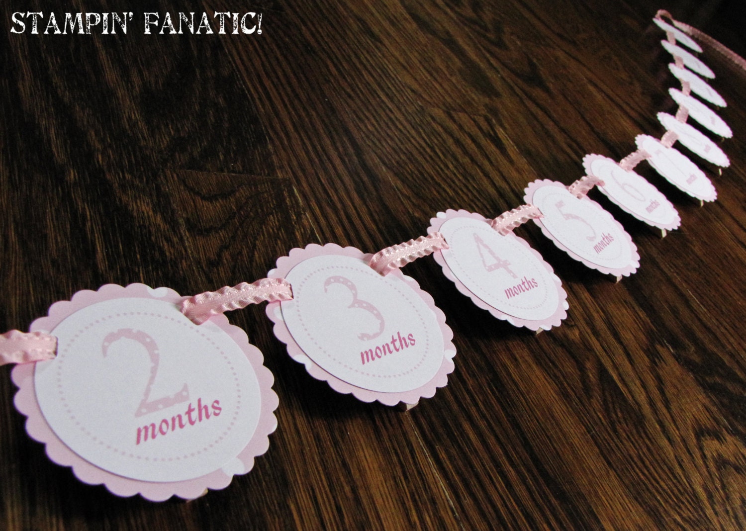 Pink Polka Dot Collection: Monthly Light Pink first birthday photo banner. Polka Dot Birthday. Picture Banner. First Year Banner. Il_570xn