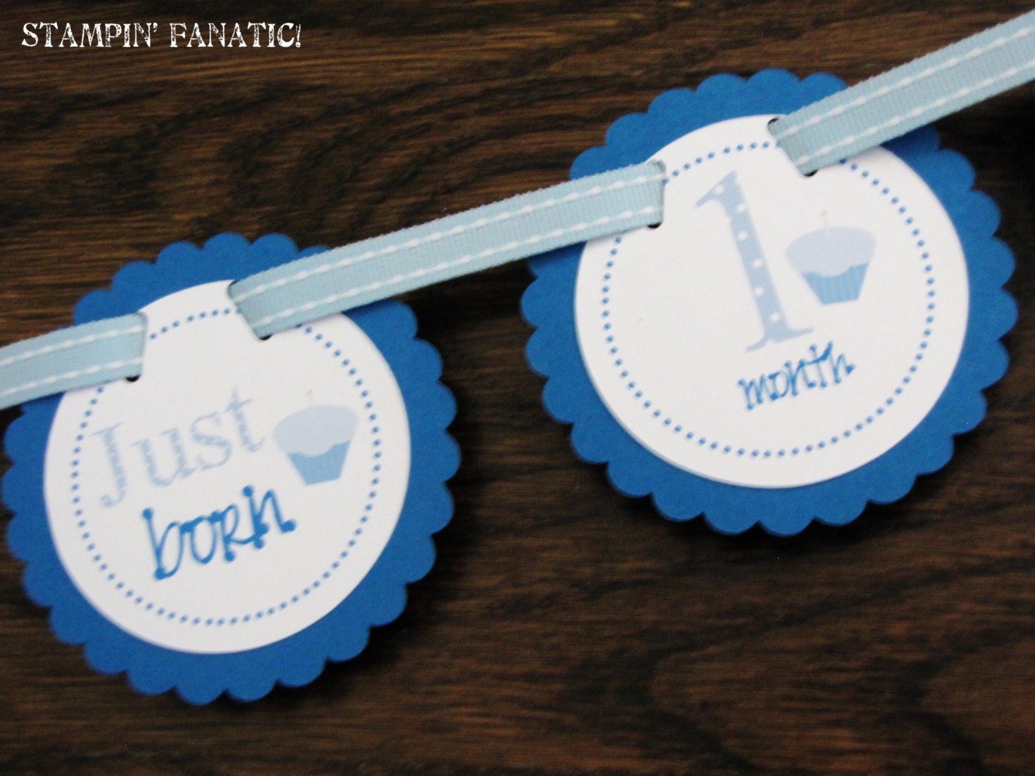 Cupcakes & Polka Dots BLUE: Just Born/0-12month Cupcake First Birthday Photo Picture Banner with clips to hang 4x6 pictures. Cupcake Boy Il_570xn