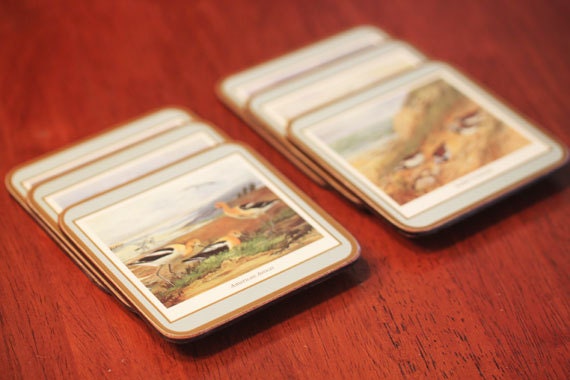Vintage Bird Picture Coasters With Cork Backing BIRD WATCHING - CoolBoyVintage