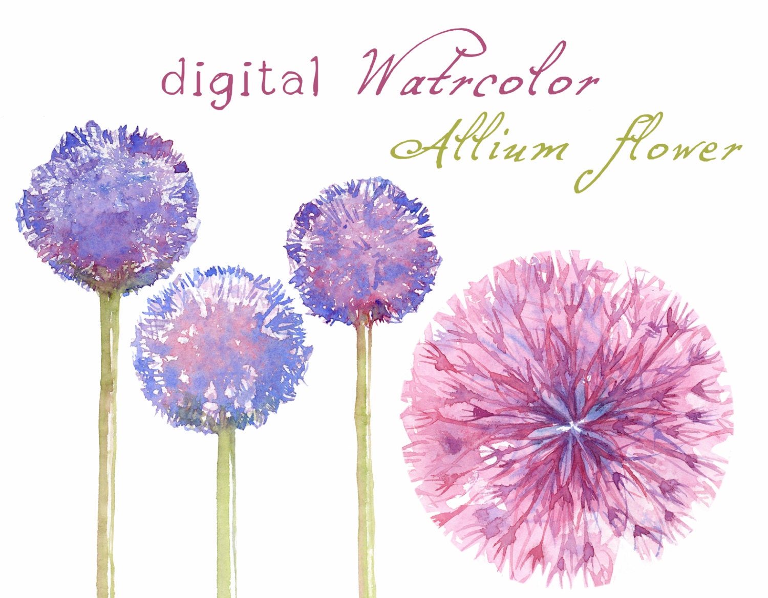 clipart watercolor flowers - photo #15