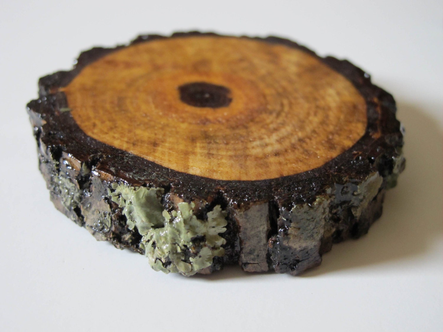 Set of Four Natural Wooden Coasters- Handmade from Salvaged Black Walnut- Recycled Felt Bottom