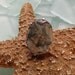 Treasury Item - MAGNIFICENT RARE BOLD Circa 1920s - 1930s Sterling Silver Moss Agate Shiptonia Company Ring - Size 7 1/2
