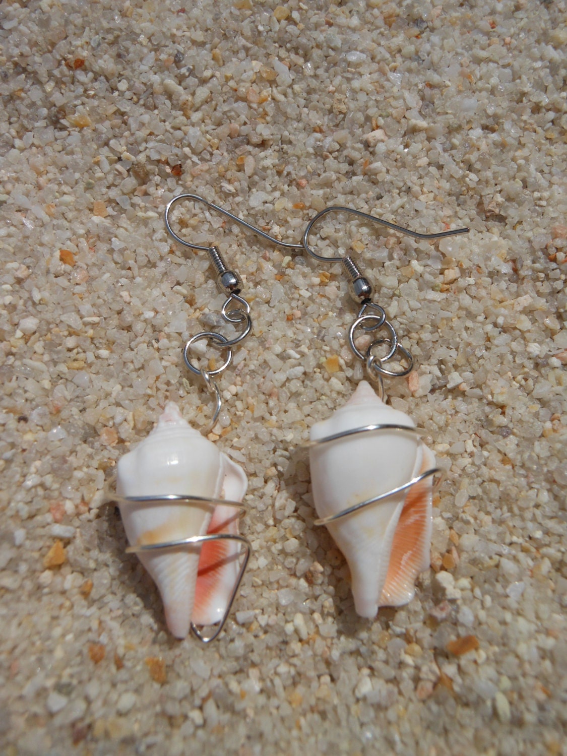 Mystery Island Seashell Earrings Conch Shell By Terrancesparents