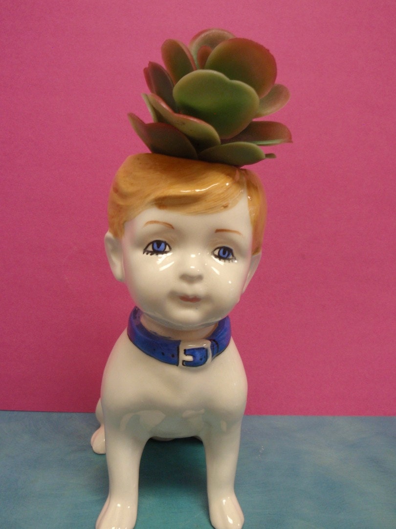 Jeffery Buppy