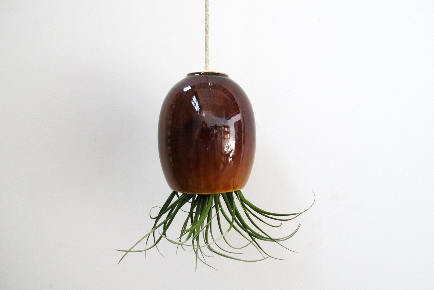 LARGE hanging air plant pod planter vase - Stunning Root Beer Celadon