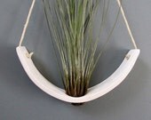 Hanging Air Plant Cradle (tm) - Natural White Earthenware Planter Vase