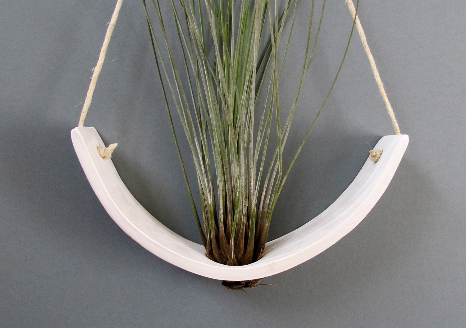 Hanging Air Plant Cradle (tm) - Natural White Earthenware Planter Vase
