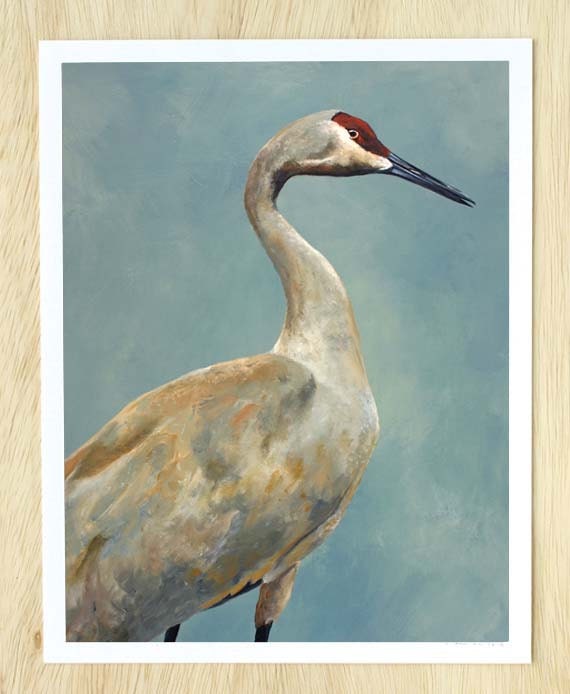 I Need Never Face Humiliation Or Defeat - bird 14 x 11 FINE ART PRINT