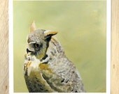 Efforts To Harmonize My Charm And Talent With Being A Biological Charnel House - owl 12 x 12 FINE ART PRINT