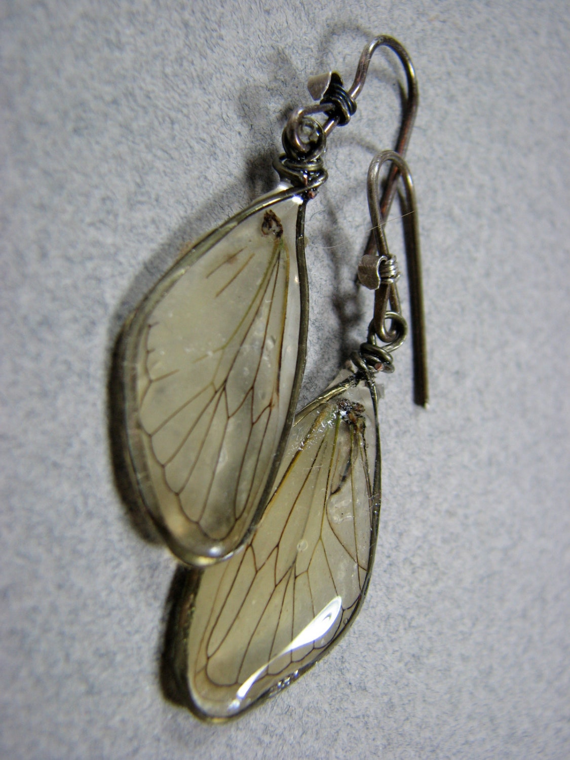 Cicada wing earrings in sterling