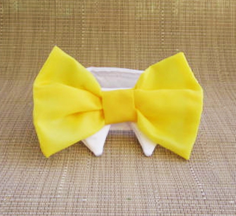 Wedding Bow Tie Dog or Cat : For Your Spring Wedding Lemon Zest