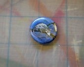 Opossum 1" pin from painting in a tree possum