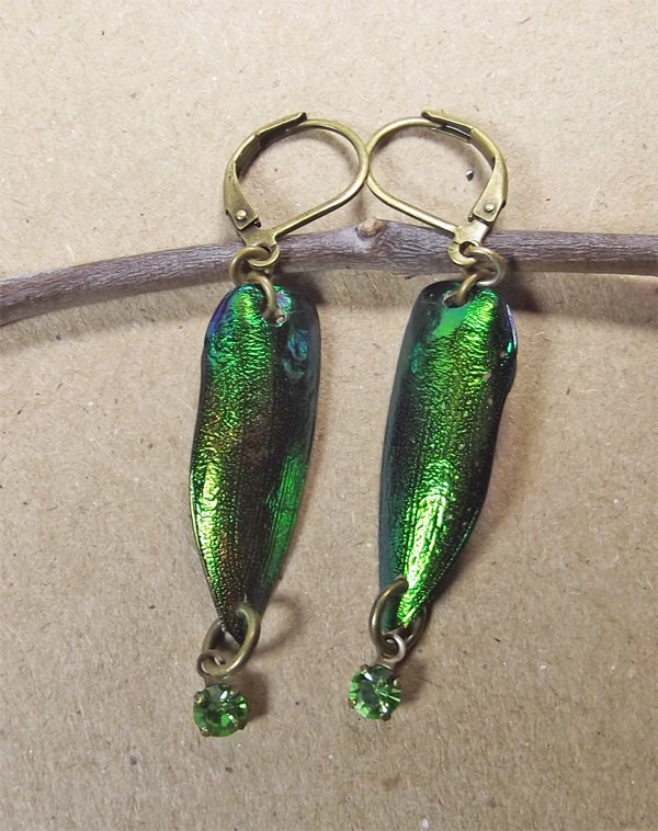 Jewel Elytra Earrings