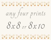 Create a Set of Any Four 8x8 or 8x10 Prints from my Shop