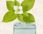 Flower Photography, Botanical Print, Fine Art Photograph, Spring Flower Photo, Botanical Wall Art, Shabby Chic, "Bunchberry Flower"