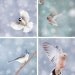 12x12 Birds in Snow Print Set, Winter Decor, Bird Artwork, Nursery Wall Art, Animal Photographs, Winter Photography, Birds in Flight