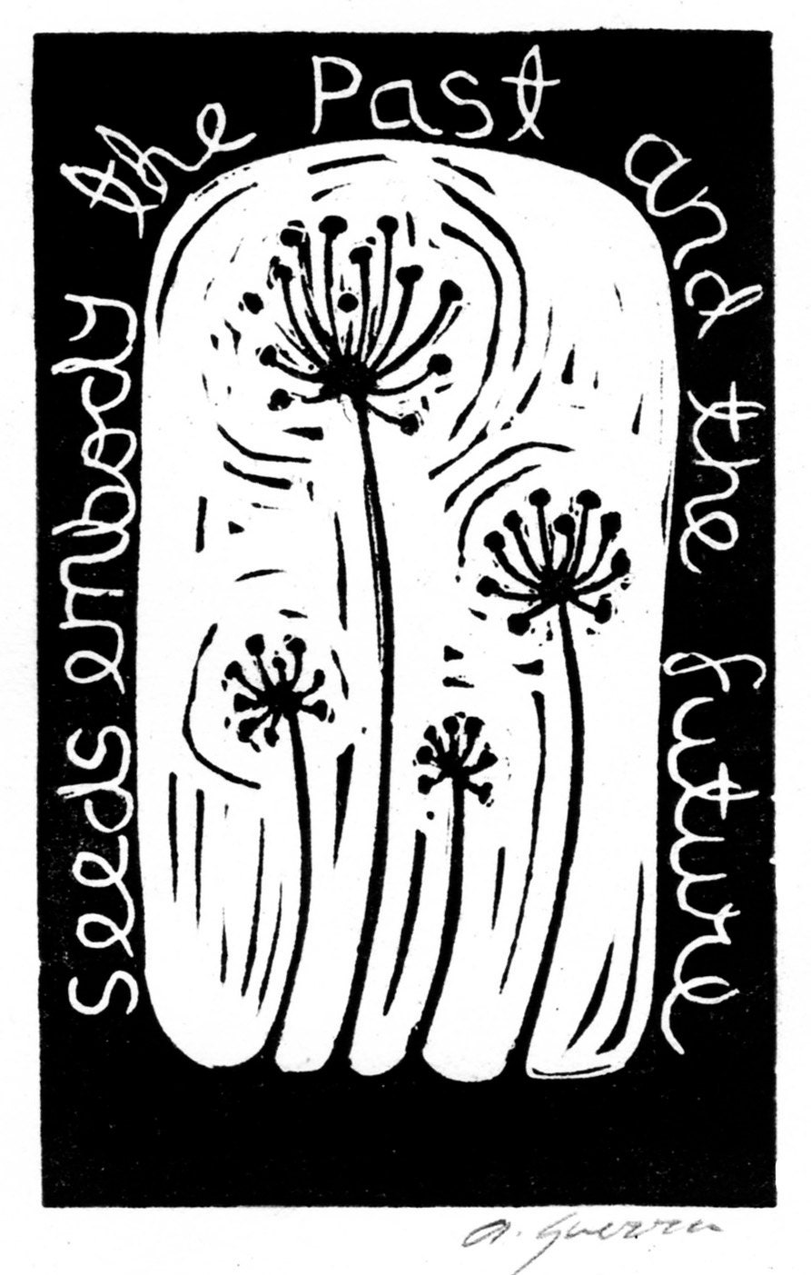 Seeds embody the past and the future