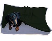 Eco Pet Bed  - Recycled Sky Blue and Forest Green Fleece
