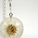 Dandelion Season Has Started, Large Resin Round with Full Dandelion and Sterling Silver Chain, Dandelion Pendant