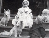 Vintage photo Frances Surrounded by her 3 different White Dogs on Steps