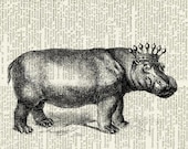 princess hippo - printed on page from vintage dictionary