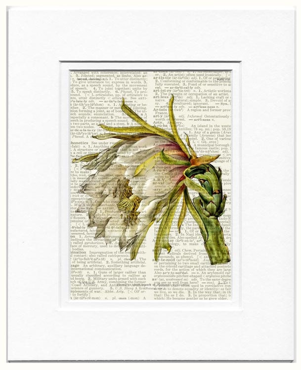 vintage cactus flower I printed on vintage page