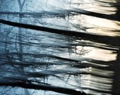 From the series "Nature Graphics": Original signed fine art photography print 6x6 inches (15x15 cm) A rustic image in blue shades