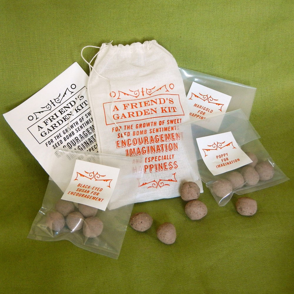 Perfect Gift for a Friend: A Friend's Garden Seed Bomb Kit to Grow Black-Eyed Susan, Poppy and Marigold Flowers
