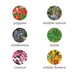 Eco Friendly Custom Seed Bomb Wedding Favors - Perfect for Outdoor Country Garden Ceremony Flowers Herbs Wildflowers