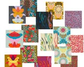 Field Study Linens Complete Collection - Anna Maria Horner Fabric Bundle - 15 Fat Quarters