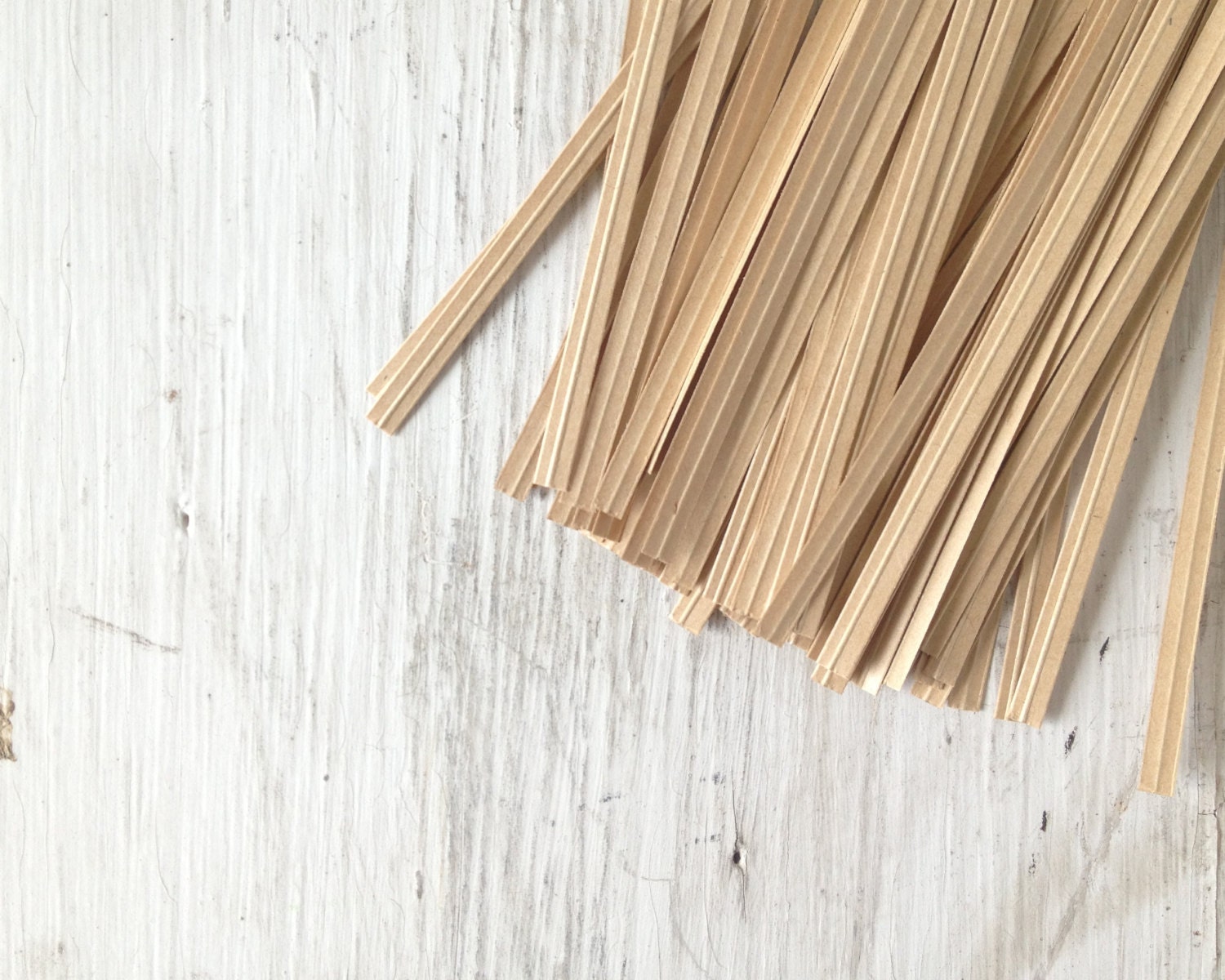 Twist Ties - Kraft