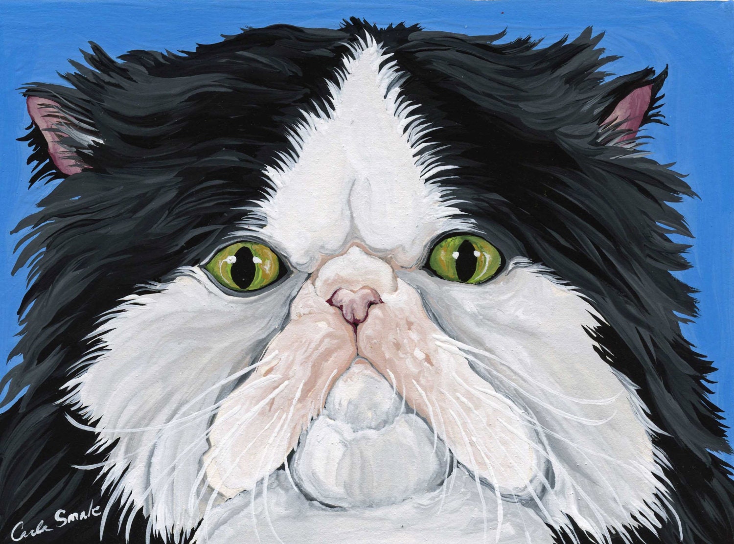 Persian Tuxedo Pet Cat Original Art-Carla Smale