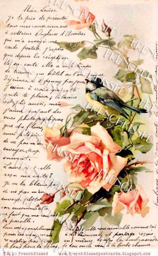 Instant Download BIRD with French Script PINK Roses Antique Catharina Klein postcard Digital Scan
