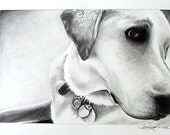 Custom Hand Drawn Dog Portrait from your own Favorite Photo