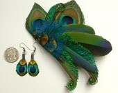 Peacock and Parrot Feather Earrings and  Hair Piece Set- Beautiful Blue and Greens, all natural colors