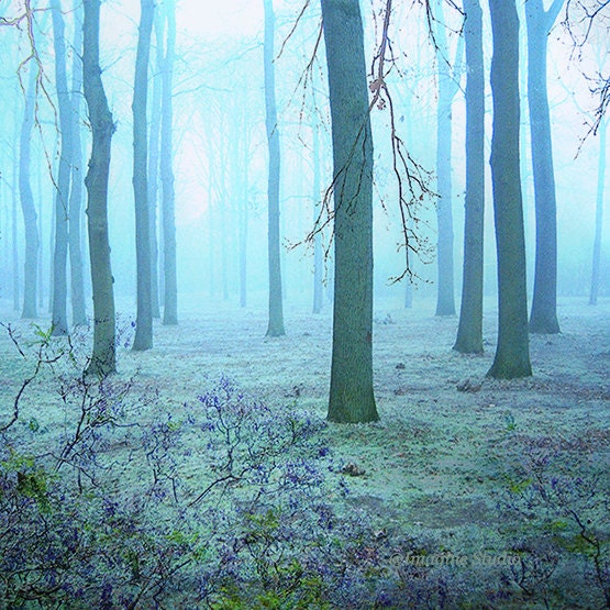 Landscape, Nature, Woodland,  Forest, Spring,  Photography,  Surreal Landscape, Fine Art Print,  Home Decor, Wall Art