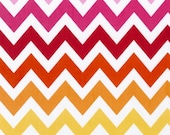 Garden Chevron Fabric Robert Kaufman Ann Kelle Remix 1 Yard Cotton