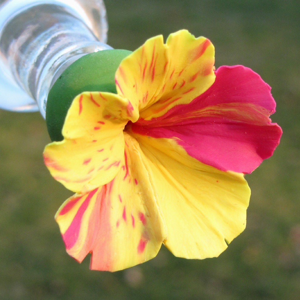 HUMMINGBIRD FEEDER--Four O'Clock in Magenta and Yellow